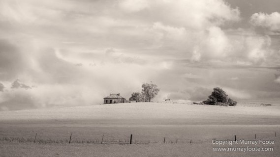 Architecture, Australia, Black and White, Flinders Ranges, Infrared, Landscape, Monochrome, Nature, Photography, South Australia, Travel, Wilderness, Wildlife