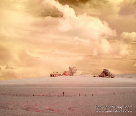 Australia, Flinders Ranges, Infrared, Landscape, Merna Mora Station, Nature, Photography, South Australia, Travel