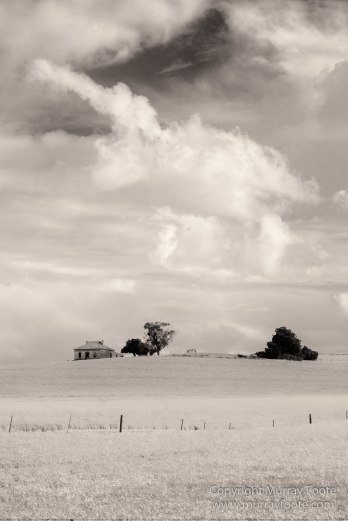 Architecture, Australia, Black and White, Flinders Ranges, Infrared, Landscape, Monochrome, Nature, Photography, South Australia, Travel, Wilderness, Wildlife