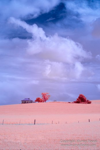 Australia, Flinders Ranges, Infrared, Landscape, Merna Mora Station, Nature, Photography, South Australia, Travel