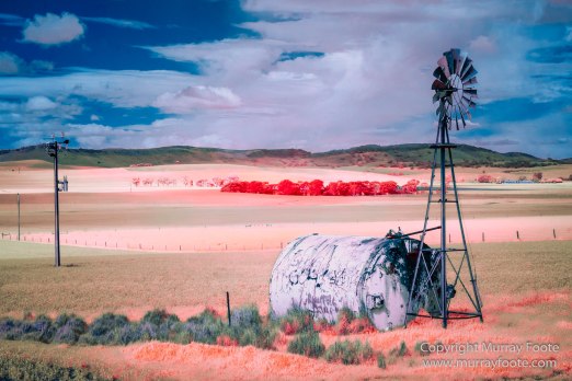 Australia, Flinders Ranges, Infrared, Landscape, Merna Mora Station, Nature, Photography, South Australia, Travel