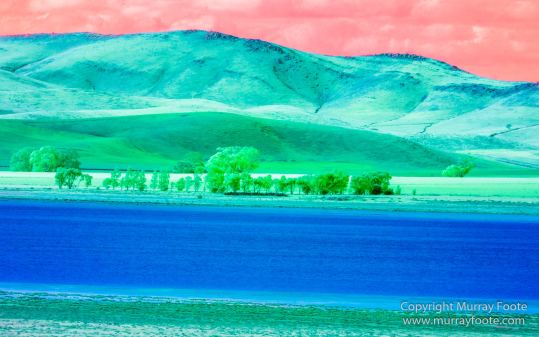 Australia, Flinders Ranges, Infrared, Landscape, Merna Mora Station, Nature, Photography, South Australia, Travel