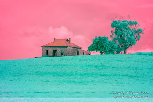 Australia, Flinders Ranges, Infrared, Landscape, Merna Mora Station, Nature, Photography, South Australia, Travel