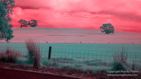 Australia, Flinders Ranges, Infrared, Landscape, Merna Mora Station, Nature, Photography, South Australia, Travel
