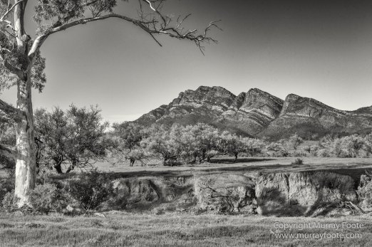 Architecture, Australia, Black and White, Flinders Ranges, Landscape, Monochrome, Nature, Photography, South Australia, Travel, Wilderness, Wildlife