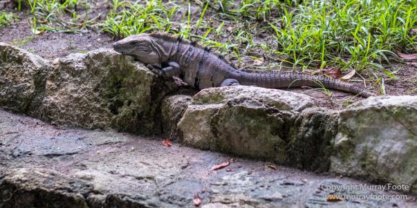 Archaeology, Aztecs, Mayans, Mexico, Mexico City, Museo Nacionale de Antropologia, Photography, Toltecs, Travel