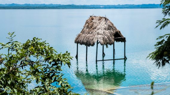 Archaeology, Flores, Guatemala, Landscape, Maya, Nature, Photography, Street photography, Toucan, Travel, Wilderness, Wildlife, Yaxha