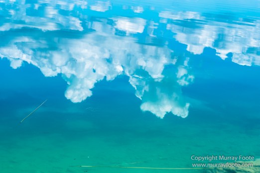 Archaeology, Flores, Guatemala, Landscape, Maya, Nature, Photography, Street photography, Toucan, Travel, Wilderness, Wildlife, Yaxha