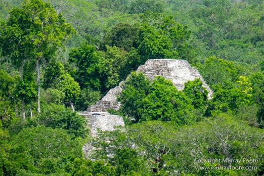 Archaeology, Architecture, Cormorant, Guatemala, Howler Monkeys, Landscape, Maya, Nature, Photography, Topoxte, Toucan, Travel, Wilderness, Wildlife, Yaxha