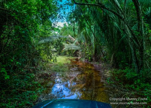 Archaeology, Architecture, Guatemala, History, Infrared, Landscape, Maya, Nature, Photography, Rainbow-billed Toucan, Topoxte, Travel, Wildlife, Yaxha