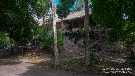 Archaeology, Architecture, Guatemala, History, Infrared, Landscape, Maya, Nature, Photography, Rainbow-billed Toucan, Topoxte, Travel, Wildlife, Yaxha