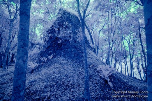 Archaeology, Architecture, Guatemala, Infrared, Landscape, Maya, Nature, Photography, Topoxte, Travel, Yaxha