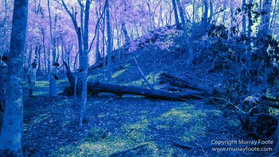Archaeology, Architecture, Guatemala, Infrared, Landscape, Maya, Nature, Photography, Topoxte, Travel, Yaxha