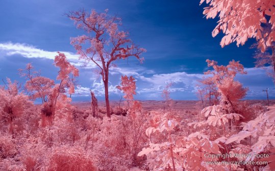 Archaeology, Architecture, Guatemala, Infrared, Landscape, Maya, Nature, Photography, Topoxte, Travel, Yaxha