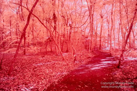 Archaeology, Architecture, Guatemala, Infrared, Landscape, Maya, Nature, Photography, Topoxte, Travel, Yaxha