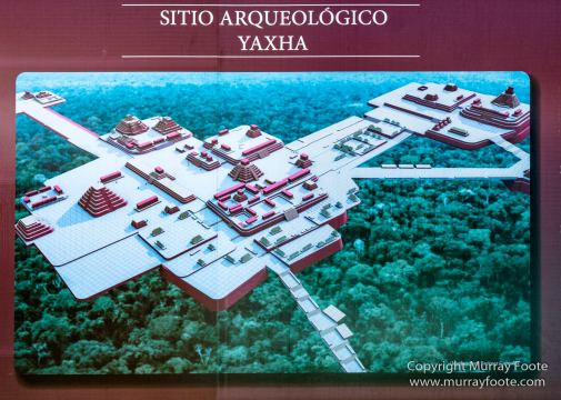 Archaeology, Architecture, Guatemala, Landscape, Maya, Nature, Photography, Toucan, Travel, Wilderness, Wildlife, Yaxha