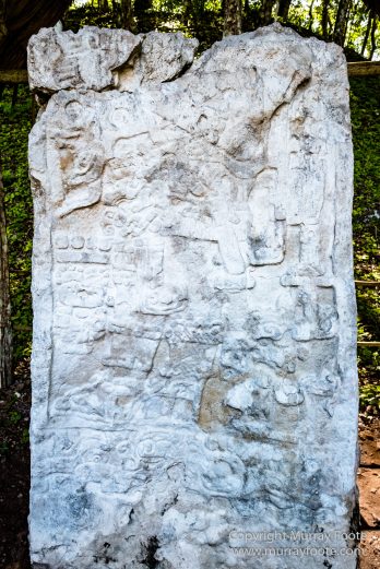 Archaeology, Architecture, Guatemala, Landscape, Maya, Nature, Photography, Toucan, Travel, Wilderness, Wildlife, Yaxha