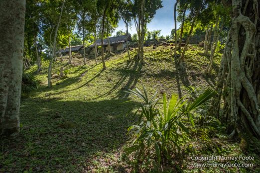 Archaeology, Architecture, Guatemala, Landscape, Maya, Nature, Photography, Toucan, Travel, Wilderness, Wildlife, Yaxha