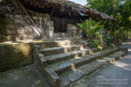 Archaeology, Architecture, Guatemala, Landscape, Maya, Nature, Photography, Toucan, Travel, Wilderness, Wildlife, Yaxha