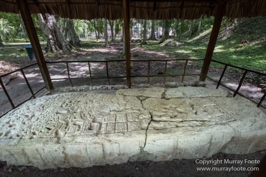 Archaeology, Architecture, Guatemala, Landscape, Maya, Nature, Photography, Toucan, Travel, Wilderness, Wildlife, Yaxha