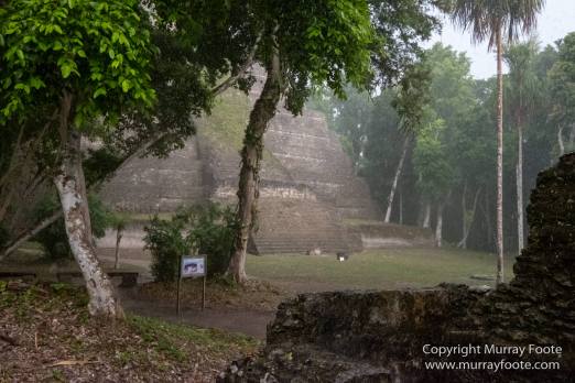 Archaeology, Architecture, Guatemala, Landscape, Maya, Nature, Photography, Toucan, Travel, Wilderness, Wildlife, Yaxha