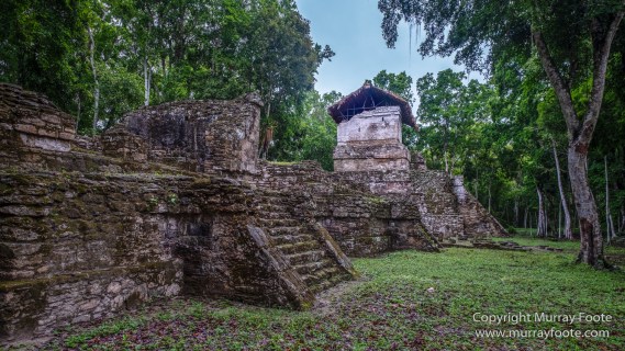 Archaeology, Architecture, Cormorant, Guatemala, Howler Monkeys, Landscape, Maya, Nature, Photography, Topoxte, Toucan, Travel, Wilderness, Wildlife, Yaxha