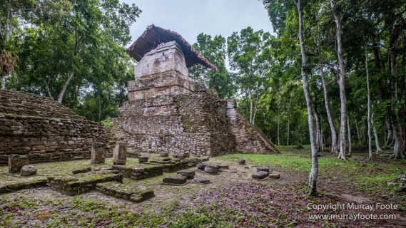 Archaeology, Architecture, Cormorant, Guatemala, Howler Monkeys, Landscape, Maya, Nature, Photography, Topoxte, Toucan, Travel, Wilderness, Wildlife, Yaxha