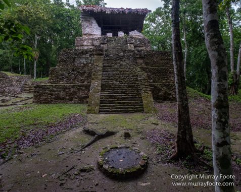 Archaeology, Architecture, Cormorant, Guatemala, Howler Monkeys, Landscape, Maya, Nature, Photography, Topoxte, Toucan, Travel, Wilderness, Wildlife, Yaxha
