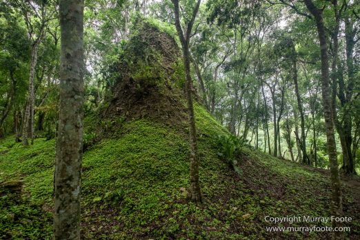 Archaeology, Architecture, Cormorant, Guatemala, Howler Monkeys, Landscape, Maya, Nature, Photography, Topoxte, Toucan, Travel, Wilderness, Wildlife, Yaxha