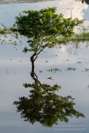 Archaeology, Architecture, Cormorant, Guatemala, Howler Monkeys, Landscape, Maya, Nature, Photography, Topoxte, Toucan, Travel, Wilderness, Wildlife, Yaxha