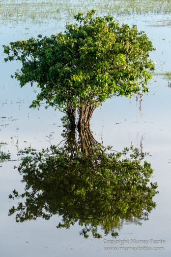 Archaeology, Architecture, Cormorant, Guatemala, Howler Monkeys, Landscape, Maya, Nature, Photography, Topoxte, Toucan, Travel, Wilderness, Wildlife, Yaxha