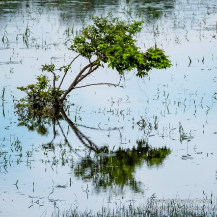 Archaeology, Architecture, Guatemala, History, Infrared, Landscape, Maya, Nature, Photography, Rainbow-billed Toucan, Topoxte, Travel, Wildlife, Yaxha