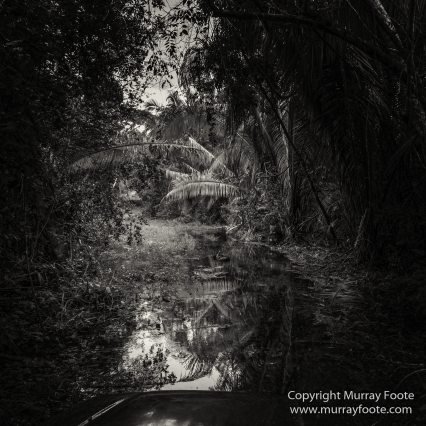 Archaeology, Architecture, Black and White, Flores, Guatemala, La Blanca, Landscape, Maya, Monochrome, Nature, Photography, Street photography, Travel, Wildlife, Yaxha