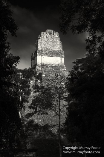 Archaeology, Architecture, Black and White, Guatemala, Infrared, Landscape, Maya, Monochrome, Nature, Photography, Tikal, Travel