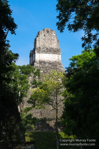 Archaeology, Architecture, Guatemala, History, Infrared, Landscape, Maya, Nature, Photography, Tikal, Travel, Wildlife