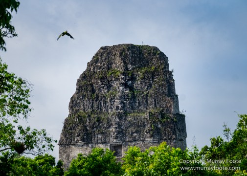 Archaeology, Architecture, Guatemala, History, Infrared, Landscape, Maya, Nature, Photography, Tikal, Travel, Wildlife