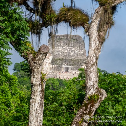 Archaeology, Architecture, Guatemala, History, Infrared, Landscape, Maya, Nature, Photography, Tikal, Travel, Wildlife
