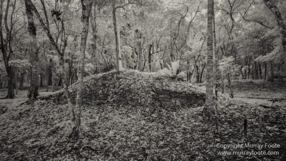 Archaeology, Architecture, Black and White, Flores, Guatemala, La Blanca, Landscape, Maya, Monochrome, Nature, Photography, Street photography, Travel, Wildlife, Yaxha