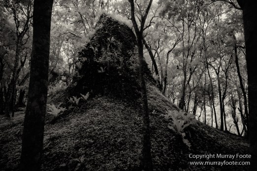 Archaeology, Architecture, Black and White, Flores, Guatemala, La Blanca, Landscape, Maya, Monochrome, Nature, Photography, Street photography, Travel, Wildlife, Yaxha
