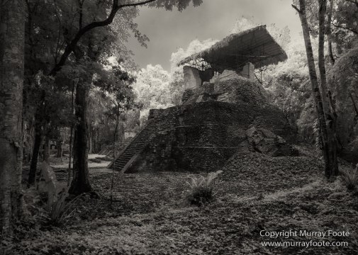 Archaeology, Architecture, Black and White, Flores, Guatemala, La Blanca, Landscape, Maya, Monochrome, Nature, Photography, Street photography, Travel, Wildlife, Yaxha