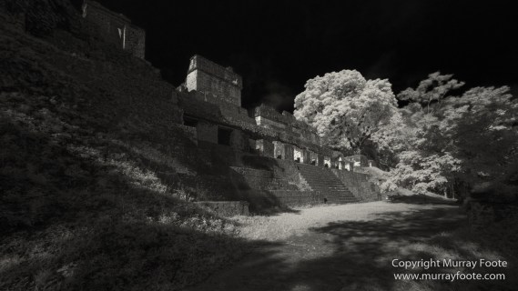 Archaeology, Architecture, Black and White, Guatemala, Infrared, Landscape, Maya, Monochrome, Nature, Photography, Tikal, Travel