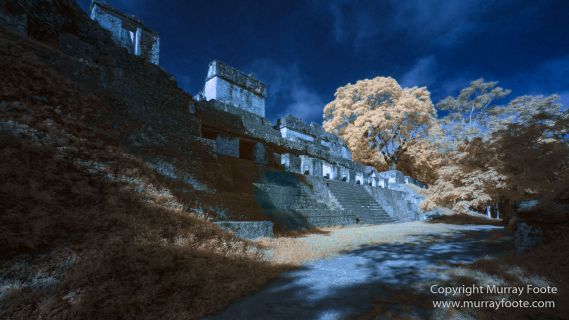Archaeology, Architecture, Guatemala, History, Infrared, Landscape, Maya, Nature, Photography, Tikal, Travel, Wildlife
