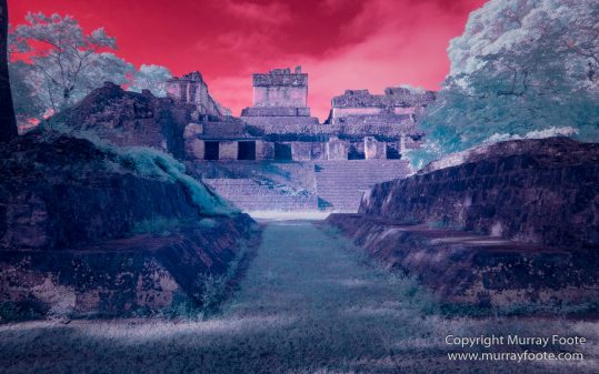 Archaeology, Architecture, Guatemala, History, Infrared, Landscape, Maya, Nature, Photography, Tikal, Travel, Wildlife