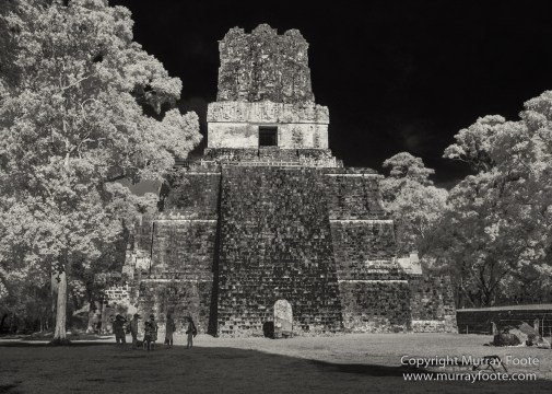 Archaeology, Architecture, Black and White, Guatemala, Infrared, Landscape, Maya, Monochrome, Nature, Photography, Tikal, Travel