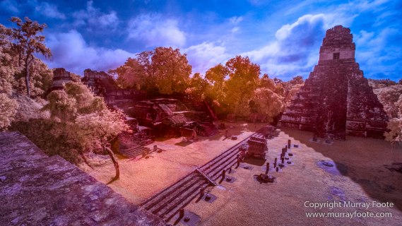 Archaeology, Architecture, Guatemala, History, Infrared, Landscape, Maya, Nature, Photography, Tikal, Travel, Wildlife