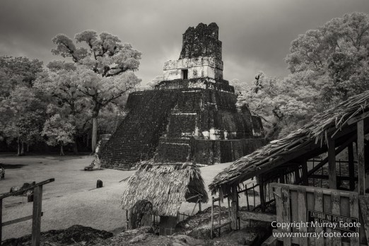 Archaeology, Architecture, Black and White, Guatemala, Infrared, Landscape, Maya, Monochrome, Nature, Photography, Tikal, Travel