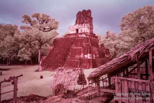 Archaeology, Architecture, Guatemala, History, Infrared, Landscape, Maya, Nature, Photography, Tikal, Travel, Wildlife