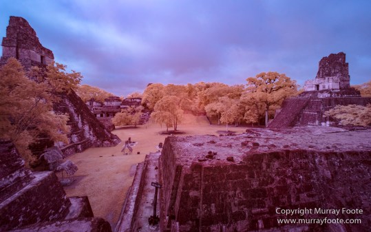 Archaeology, Architecture, Guatemala, History, Infrared, Landscape, Maya, Nature, Photography, Tikal, Travel, Wildlife