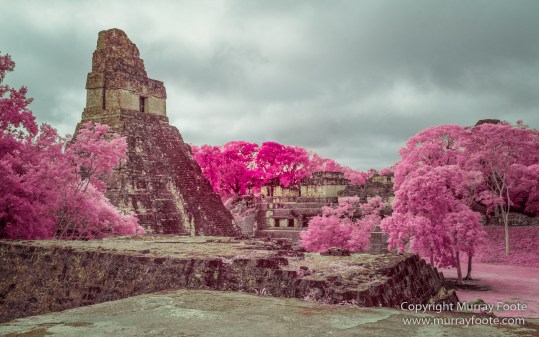 Archaeology, Architecture, Guatemala, History, Infrared, Landscape, Maya, Nature, Photography, Tikal, Travel, Wildlife
