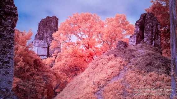 Archaeology, Architecture, Guatemala, History, Infrared, Landscape, Maya, Nature, Photography, Tikal, Travel, Wildlife